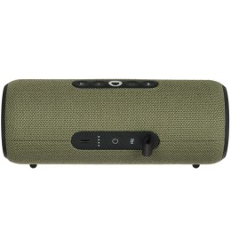 Яндекс.Станция Стрит Зелёный